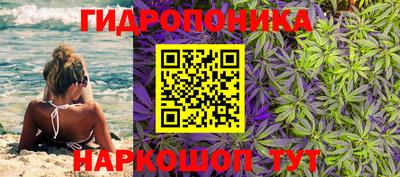 спайс Кимры