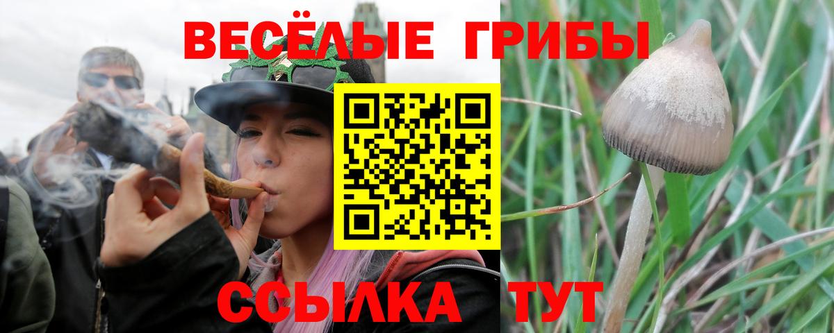 Галлюциногенные грибы Psilocybine cubensis  Вход с VPN  Галлюциногенные грибы мицелий  Темрюк 