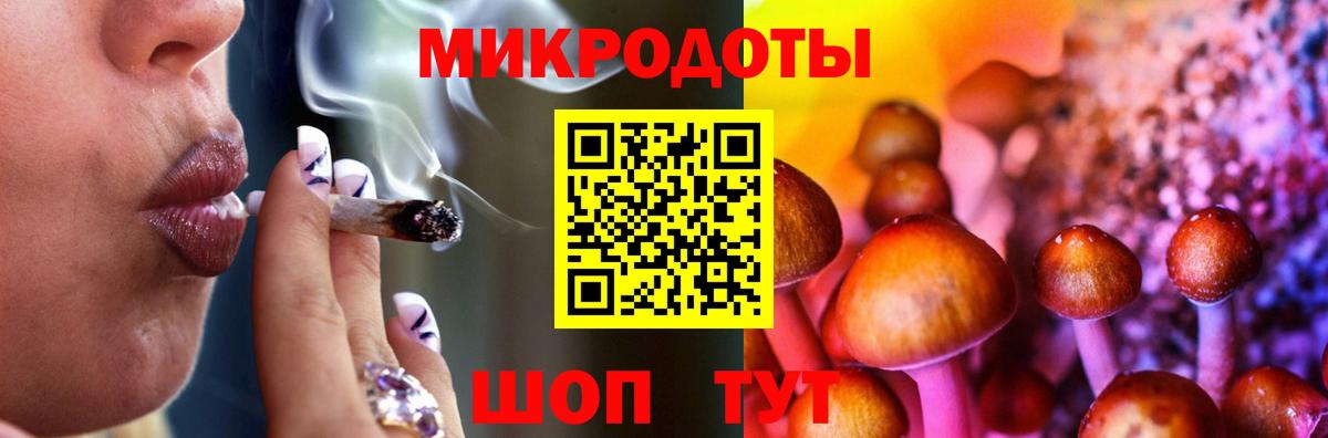 Галлюциногенные грибы Psilocybine cubensis Темрюк